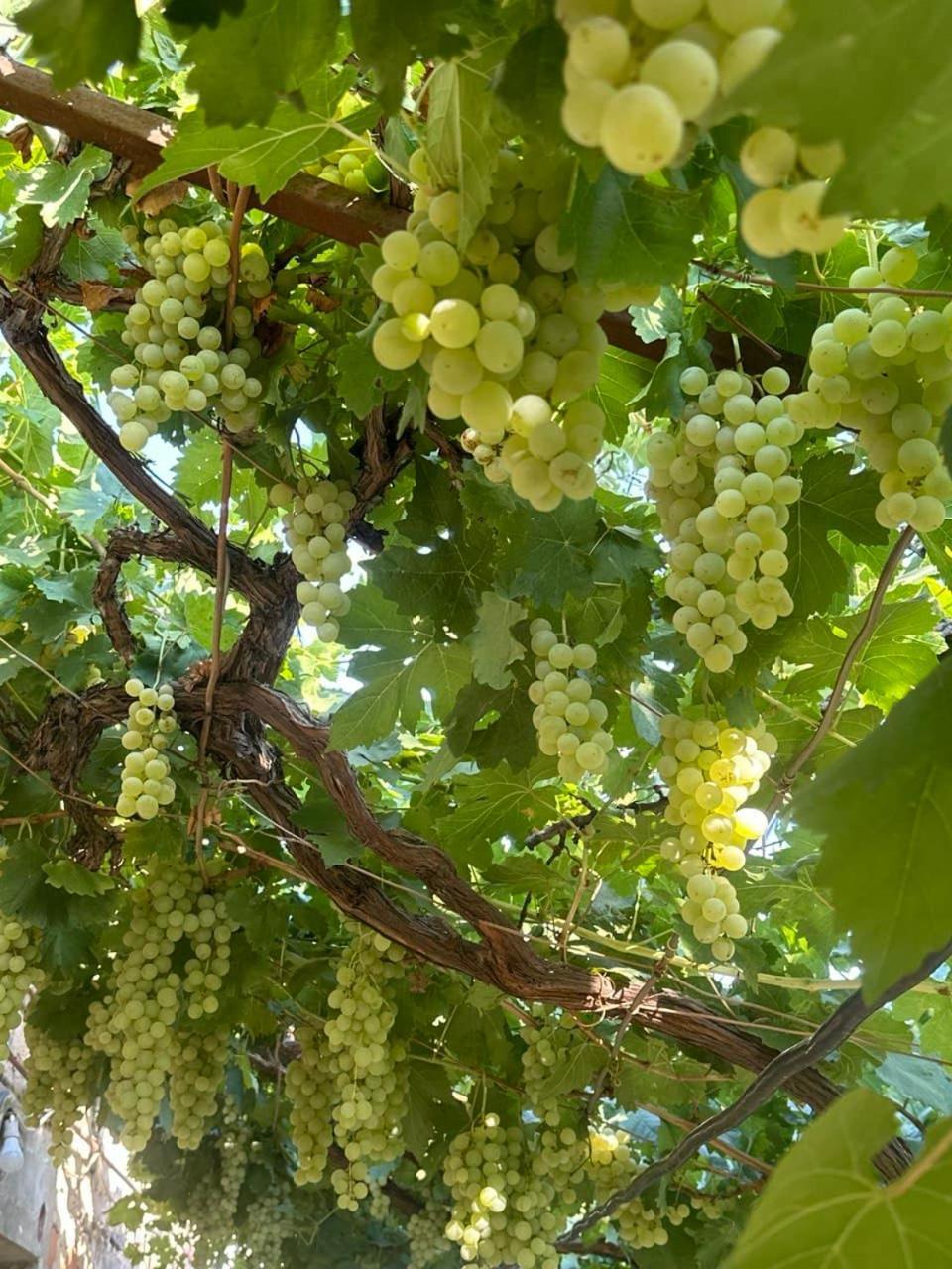 B&B Ruzan Jechegnadzor Buitenkant foto